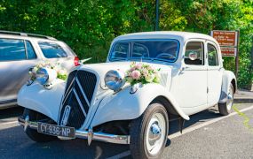 pexels amine photographe 291182746 14656193